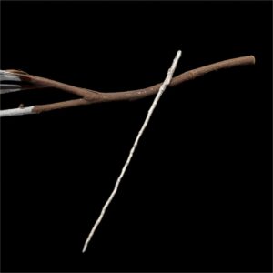 Silver Branch